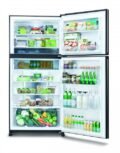 SHARP SJ-PG60P 600L 2-DOOR FRIDGE