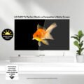 LG OLED evo AI C5 65" 4K HDR Smart TV