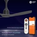Aerosense BLDC 48" Ceiling Fan with Remote - Image 4