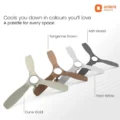 Aerosense BLDC 48" Ceiling Fan with Remote - Image 2