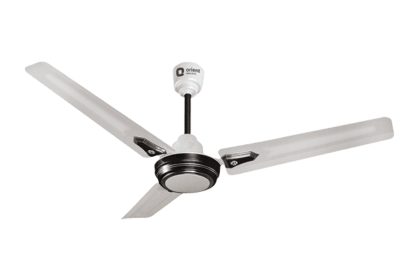 ORIENT 56" SUMMER PRIDE CEILING FAN