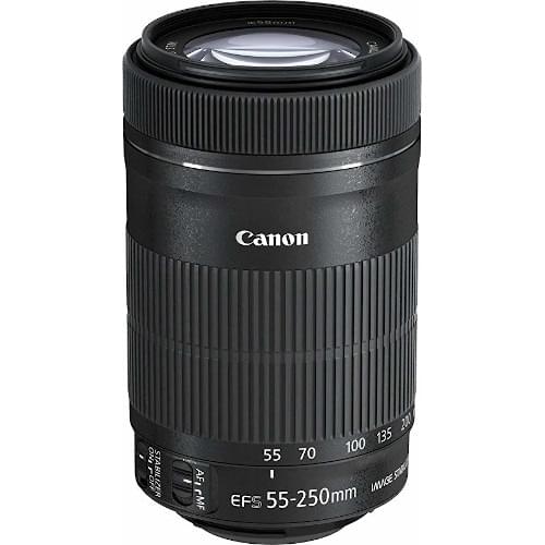 Canon EF-S 55-250mm f/4-5.6 IS STM Telephoto Zoom Lens