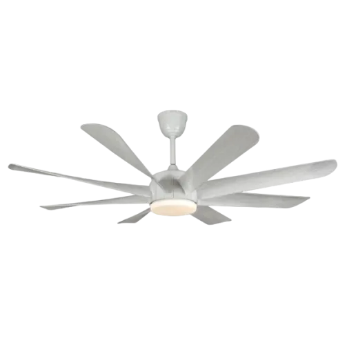Qulik Helix UL 60" Decorative Silent Ceiling Fan With Light and Remote